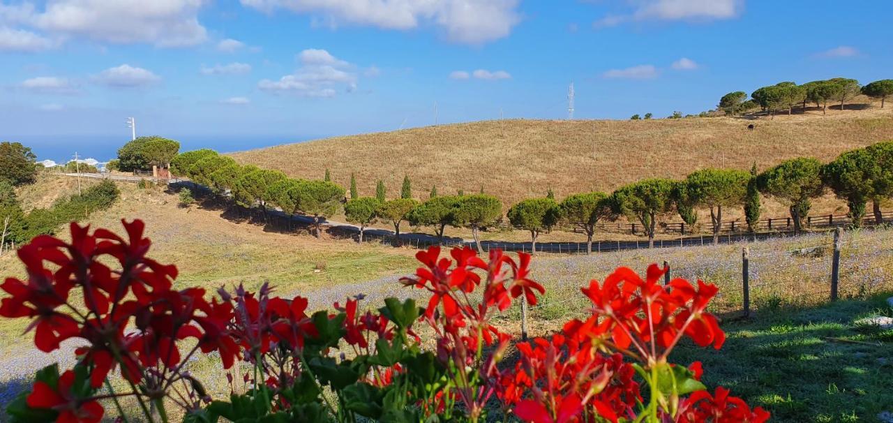Hotel Tenuta Dell'Argento Resort Civitavecchia Dış mekan fotoğraf