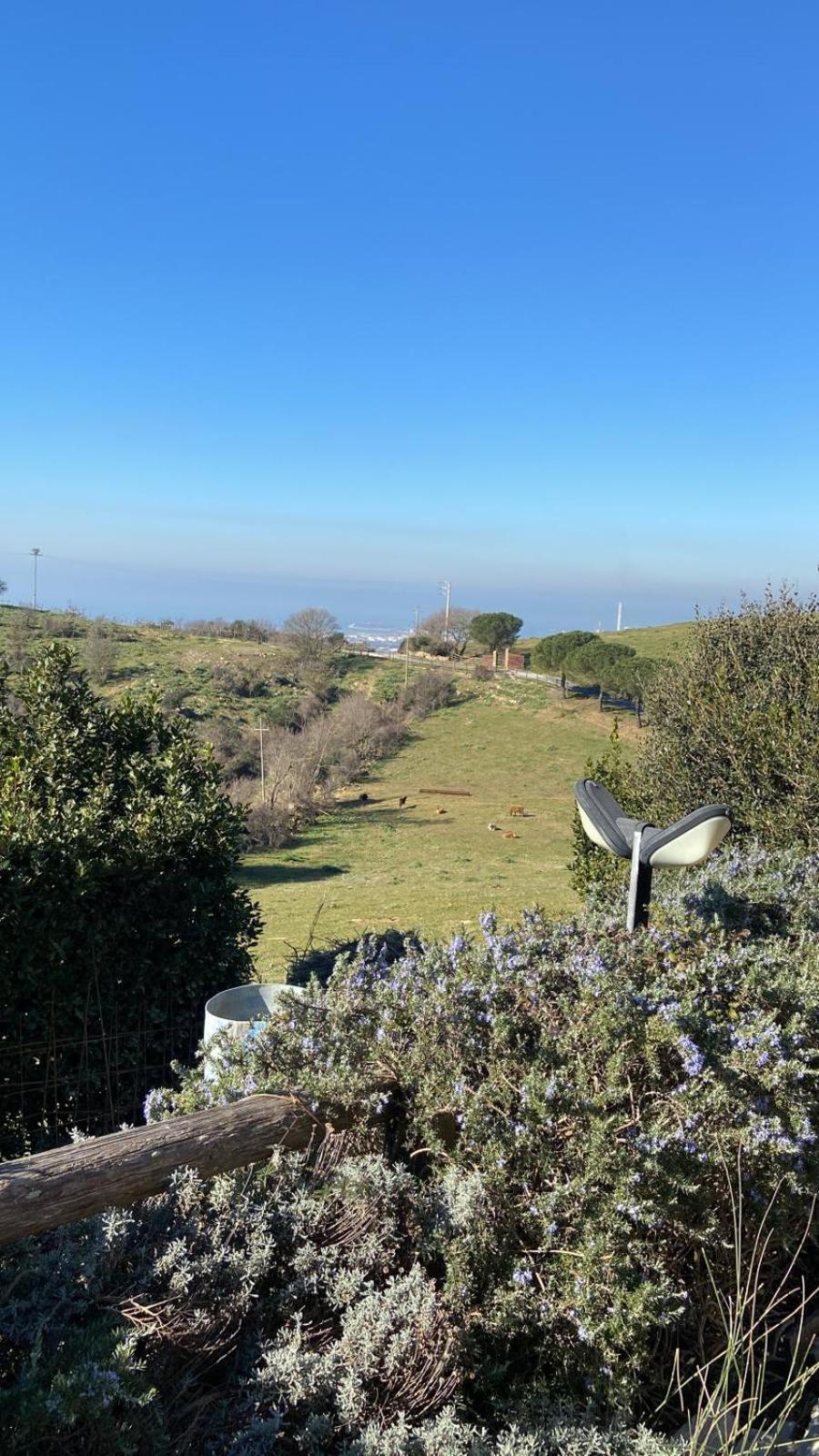 Hotel Tenuta Dell'Argento Resort Civitavecchia Dış mekan fotoğraf